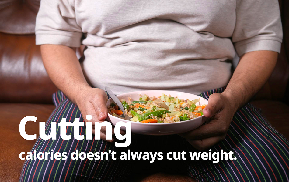 debunking-obesity-myths